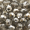 11mm Faceted Round